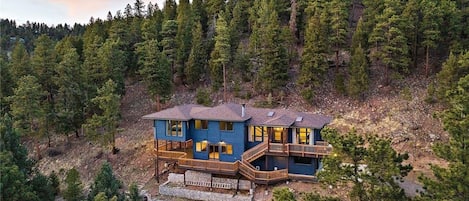 Steller Jay Hideaway