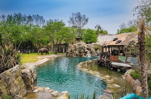 Fort Worth Zoo