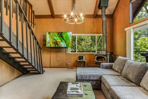 Living Room TV View