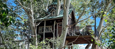 A fabulous three story treehouse, built in a giant tree! Make lasting memories!