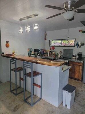 Kitchen with bar