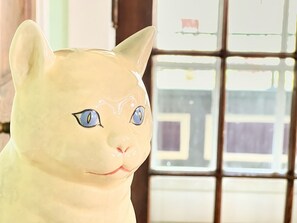 Meow. 