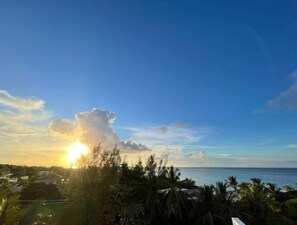 Vista desde la propiedad