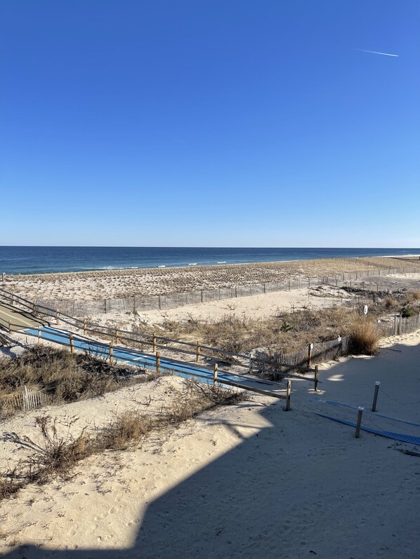 View from balcony.  Boardwalk in distance on the right. 