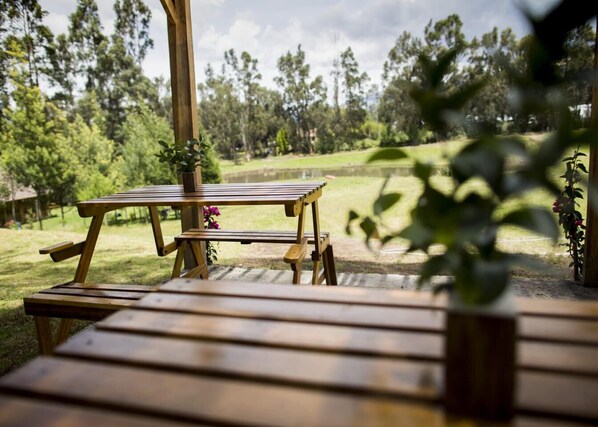 Terraza o patio