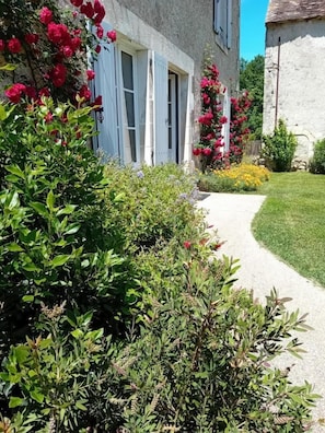 Tout est vert au printemps