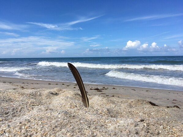 Welcome to our secluded beach - AKA, your backyard stroll.