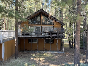 Back of your property in the woods.