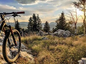 Amazing biking during the summer!