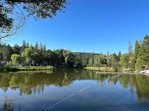 Crystal Falls Lake