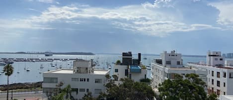 Beach/ocean view