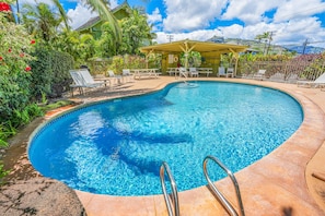 Clean Shared Pool On Site