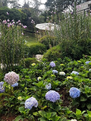 Jardines del alojamiento