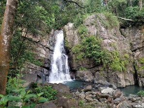 30 min far from El Yunque tropical rainforest.