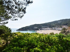 Playa