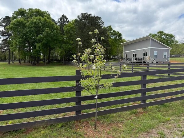 View of Dog Park and House from Entrance