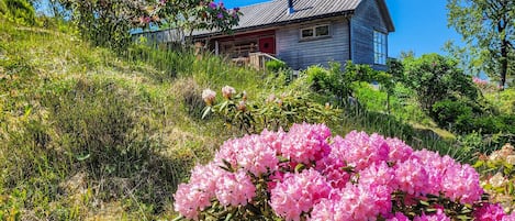 Overnatningsstedets område