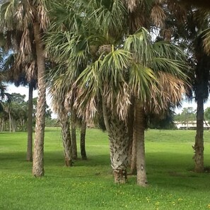 Quiet Golf Course that our home is situated on !