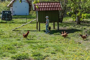 Terrenos do alojamento