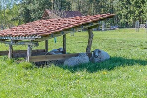 Unterkunftsgelände