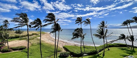 Swaying palm trees in paradise