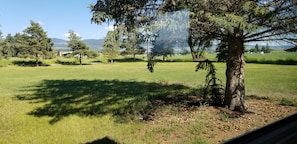 Plenty of outdoor space to enjoy