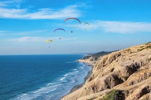 Black's Beach