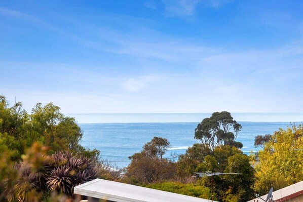 Treetop and ocean views