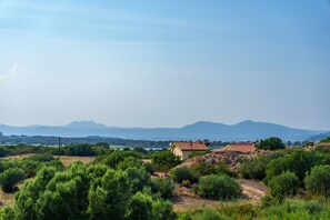 Sekalaista