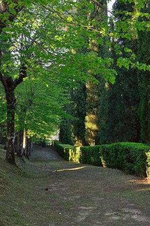 Overnattingsstedets uteområder