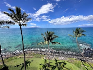 Front Lawn - View from the front lawn of the property. Yoga classes are offered for the early risers. 
The property is nestled between the two best swimming and snorkel beaches. Follow the pathway to your left to Kamaole II Beach or to your right to Kamaole I Beach.