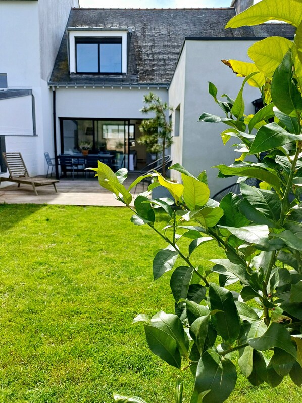 Le petit jardin et sa terrasse en bois
