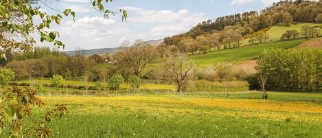 View | The Loft at Callow Fold, Craven Arms, near Church Stretton