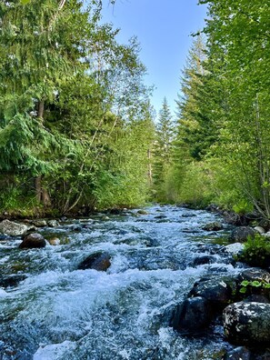 Mill creek just a few steps from the front door.