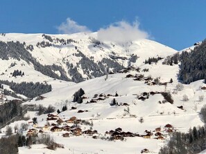 Le hameau des Curtillets. Le chalet est à l'extreme droite en lisière de bois