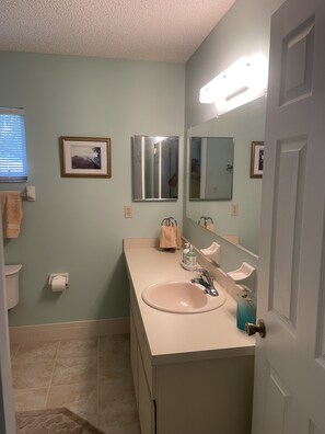 Guest bath 