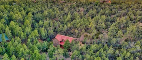 Secluded 1.5 acres deep in the Ponderosa pines