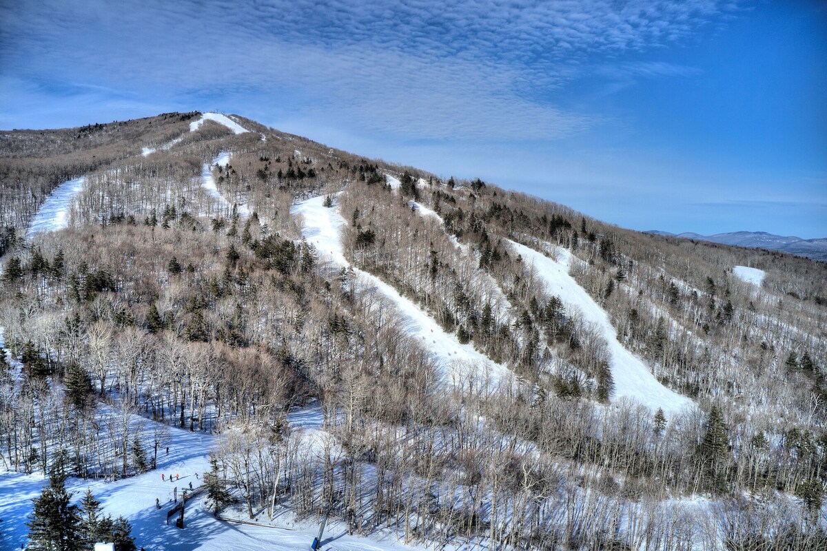 Lovely views from this slopeside, 1-Bedorom Bower House condo at Bromley