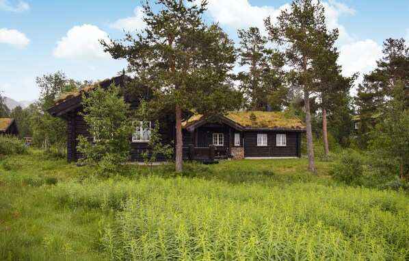 Exteriör