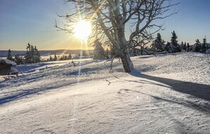 Övrigt