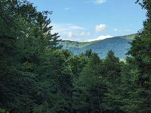 Mountain View from back porch