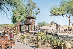 Phoenix Zoo