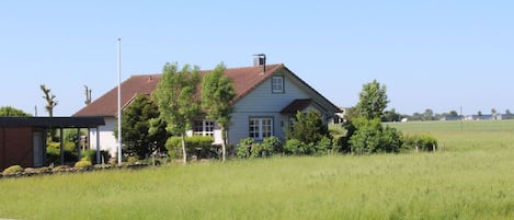 Eksteriør