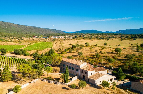 The vineyard from the rear of the mas