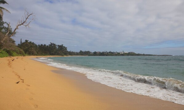 Step out of our house right onto the sand of our beach.