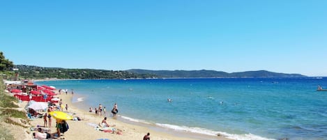 Sky, Water, Azure, Beach, Coastal And Oceanic Landforms, Tree, Leisure, Umbrella