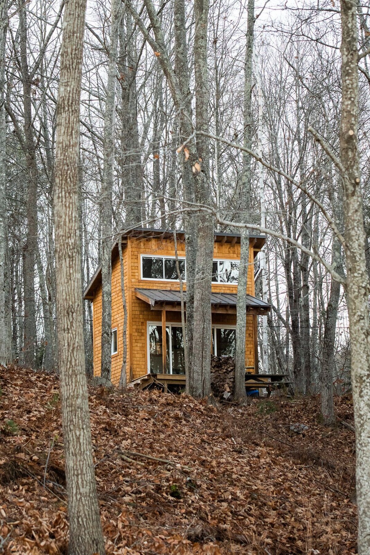 Main Image