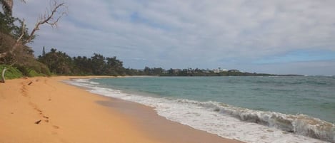 Step out of our house right onto the sand of our beach.