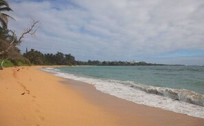 Step out of our house right onto the sand of our beach.