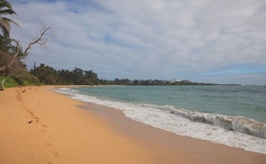 Step out of our house right onto the sand of our beach.